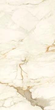 Calacatta Macchia Vecchia Luc |60x120