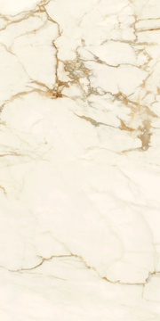 Calacatta Macchia Vecchia Luc |60x120
