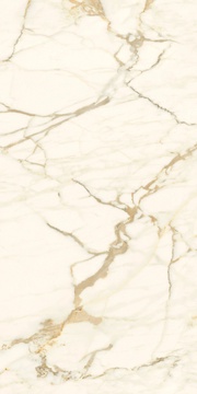 Calacatta Macchia Vecchia Natural Plus 60х120