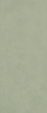 Boost Expression Olive ZZ 50x120