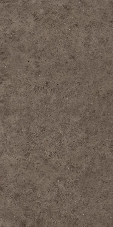 Boost Stone Tobacco ZZ 60x120 