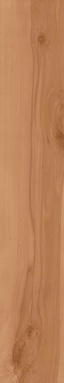 Log Cansei Fenice ZZ 18.5x150