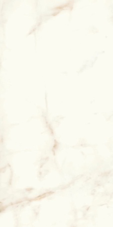 Marvel Calacatta Delicato Lappato|60x120