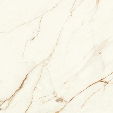 Marvel Calacatta Imperiale Matt ZZ 120x120