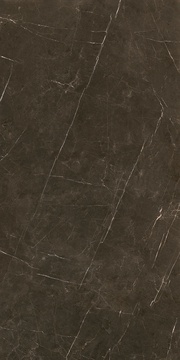 Tessino Bronze Pulido |60x120