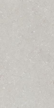 Shellstone Bianco 60x120