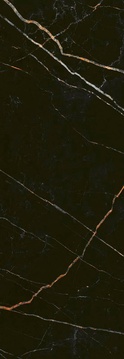 BLACK & GOLD |24.2x70