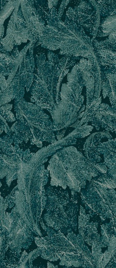Acanto Verde Denis Saint Lap 6.5 mm ZZ|120x278