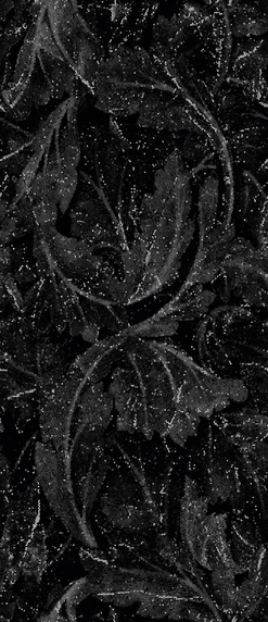 Acanto Calacatta black Lap 6.5 mm ZZ|120x278