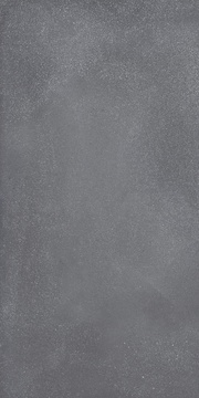 Dark Grey Minimal Nat.ZZ|60x120