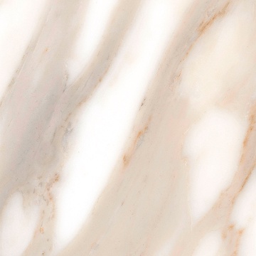 Calacatta Matt rec. ZZ|60x60