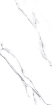 Carrara Nplus ZZ|60x120