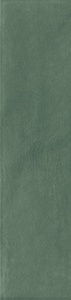 Glim Salvia Brillante ZZ 6x24