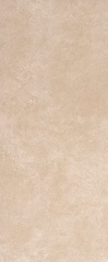 Nobu Beige 50x120