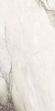 Etoile Renoir Matt ZZ 60x120