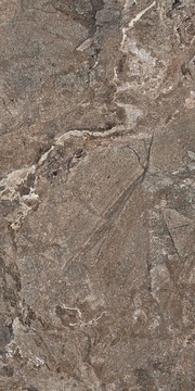 Golden Porphyry Struct ZZ 60x120