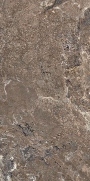 Golden Porphyry Struct ZZ 60x120