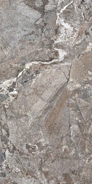 Silver Porphyry Struct 60x120