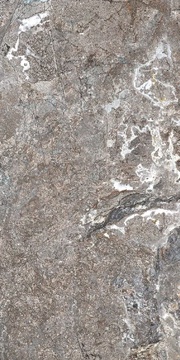 Silver Porphyry Struct 60x120       