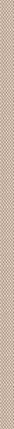 Dynamic bronze border 01 XX| 3х90