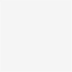 Monocolor white RAL9016 PG 01 |600х600