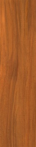 Nut brown |12.5x50