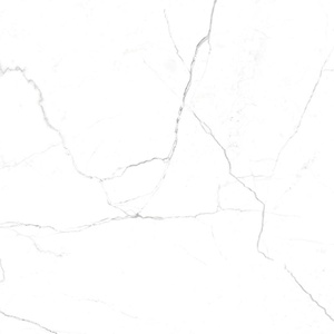 Neiva Elegant/Нейва G391 элегантный полированный 60x60