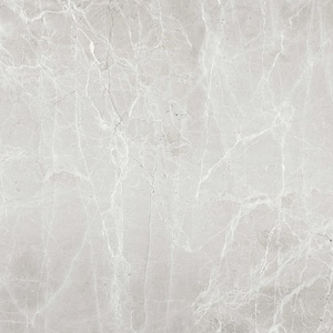 Uvildy Grey G363/Увильды серый полированный 60x60
