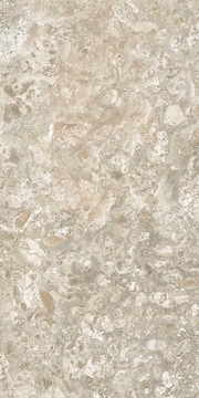Граните Лунар Бежевый MR мат 60x120 XX