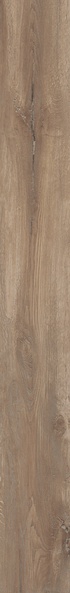 Kuni 2012BS |20x120
