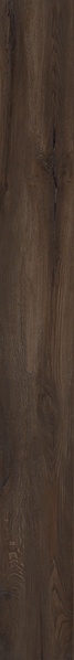 Kuni 2012T |20x120