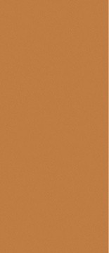 Sunchine Orange matt  ZZ 120x280