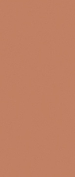 Arcilla Red matt  ZZ 120x280
