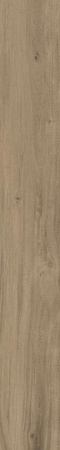 DAMA6 2015NO RM 20x150