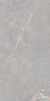 Anthology 04 Gray Natural 60x120  