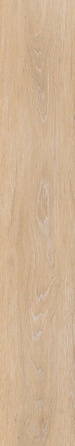 At. Viggo ArceRett|20x120