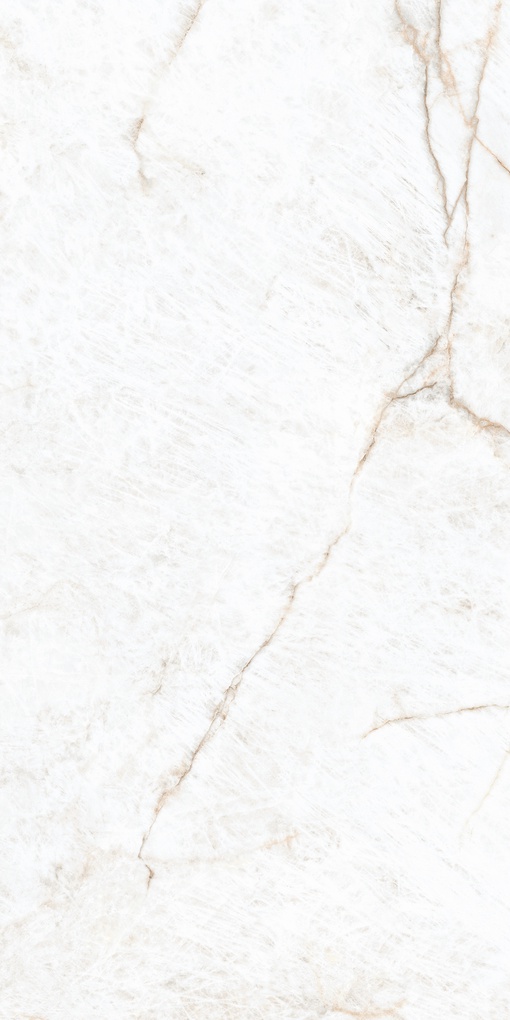Crystal White leviglass 60x120 Rec.