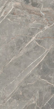 Etoile Gris Glossy ZZ 60x120