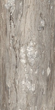 Etoile Tropical Glossy 60x120