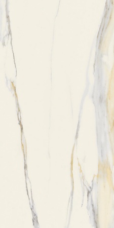 Calacatta Gold Matte ZZ 60x120