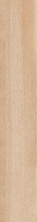 Gracewood Sand 30180 30x180
