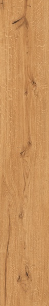 Feelwood Cognac 24x150
