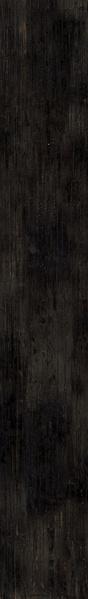 Eterno Carbon |26.5x180